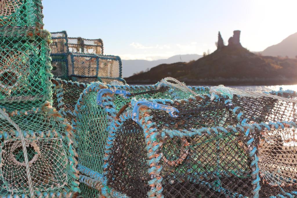 Misty Isle Apartments Ltd - Maol View カイリーキン 部屋 写真